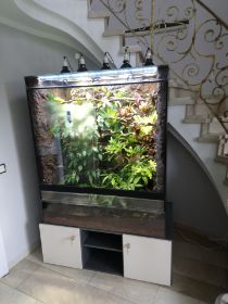 Chamäleonterrarium, Tropenterrarium