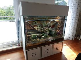 Terrarium für Bartagamen