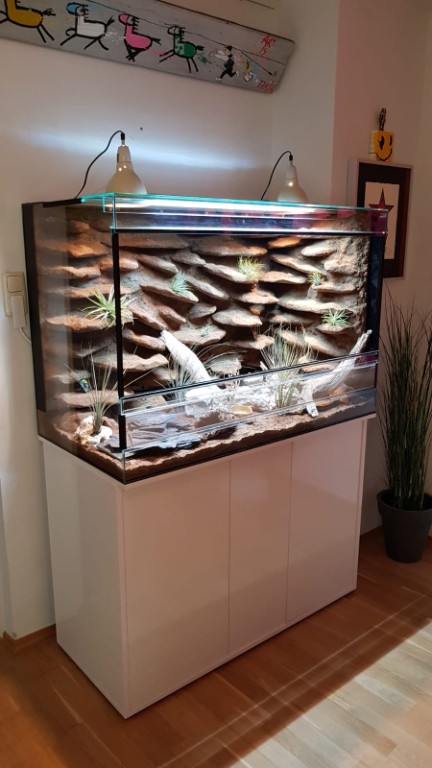 Terrarium mit Unterschrank, Terrarienbau München Terrarium mit Unterschrank, Terrarienbau München
